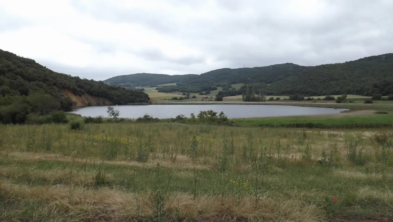 Lago de Caicedo-Yuso o de Arreo rodeado de vegetación